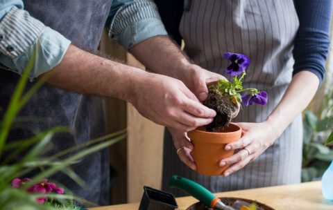 curso-jardines